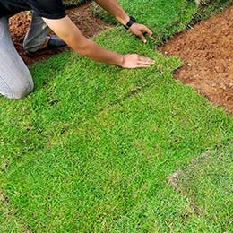 Lawn Installation